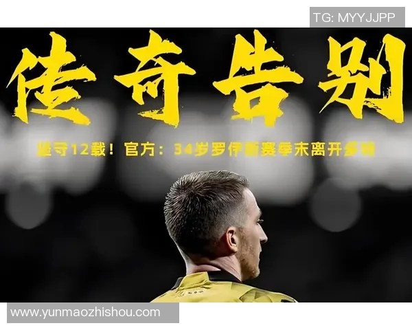 中国足球冠军的辉煌历程与未来展望：从历史到梦想的追逐之路