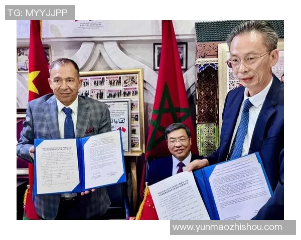 中国与土耳其的较量：文化交流与经济合作的新机遇与挑战